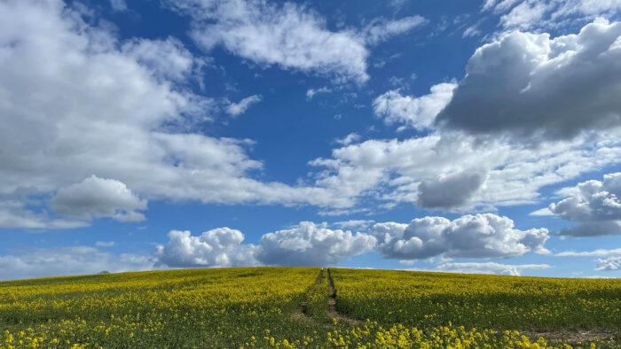 image00014